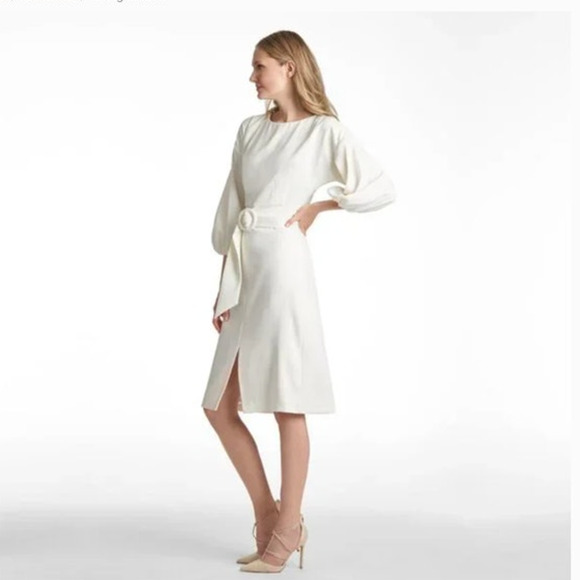 SACHIN + BABI Dress Size 14 Evening Gown NEW Annie Ivory Knee Length Sash - Picture 7 of 11